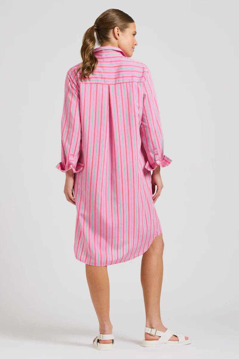 Woman facing the back wearing The Popover Shirtdress in Pink Combo