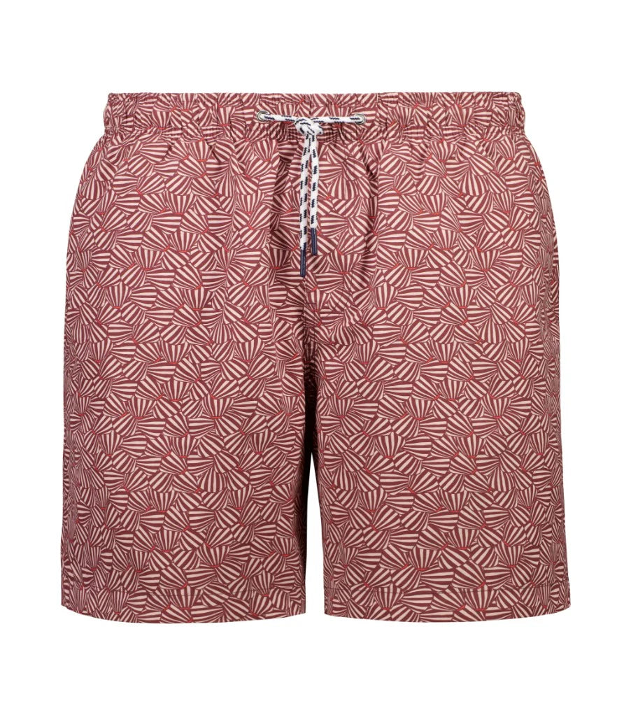 shore club swim means swim short in st barts design